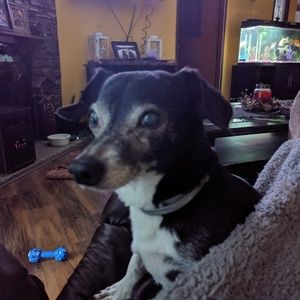 Meet your Posher, Brandi